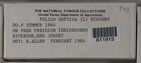 Image Associated With the Occurence
